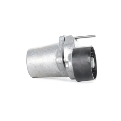 Image of 11287800333, 7800333 Tensioner Lever, v ribbed belt INA 534 0320 10 55mm 29mm BMW: 5 GT, Saloon, Touring