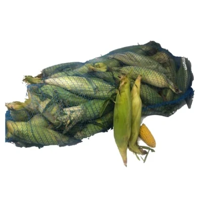 Image of Fresh Corn On the Cob 60 units Husk