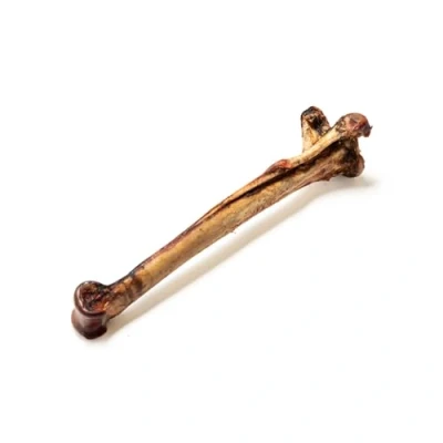 Image of Natural Treats Long Ostrich Bones for Dogs (1pc) Grain free Low Fat Hypoallergenic Marrow Filled Dental Chew Treat