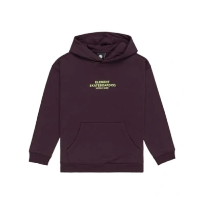 Image of Element Sweater Skateboard CO Hood Youth Purple L/14