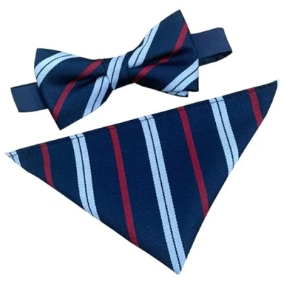 Image of Men&#039;s Royal Corps of Transport Regimental Bow Tie &amp; Hanky Set