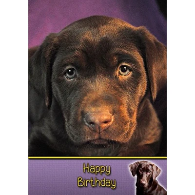 Image of Chocolate Labrador Birthday Card