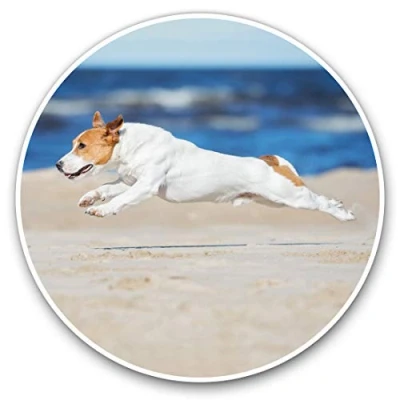Image of 2 x 30cmVinyl Stickers Cute Jack Russell Dog Puppy Beach Decals for Car Van Luggage Scrap Book Fridge #8813