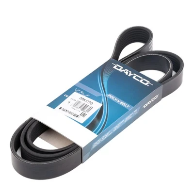 Image of 7x1770 V ribbed belt DAYCO 7PK1770 1770,0mm 7 HONDA: FR V, RENAULT: ESPACE 4, Avantime Van