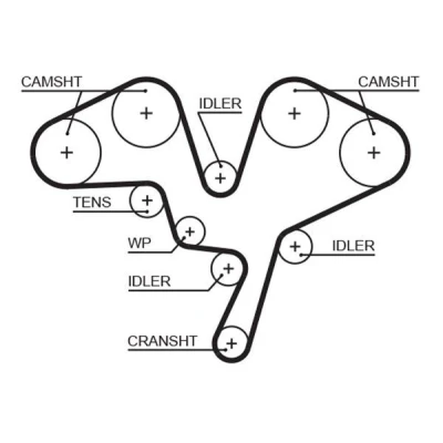 Image of 081689, 0816A0, 0816H3, 96182679, 96183375 Timing Belt GATES FleetRunner Micro V Stretch Fit 5602XS 259 2072mm 32mm PEUGEOT: 406 Coupe, Saloon