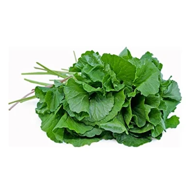 Image of Fresh Vallarai Leaves Bunch Single Keerai Gotu Kola Green leafy Healthy Used Cooking for Juice &amp; Soup,etc.. Approx 200G