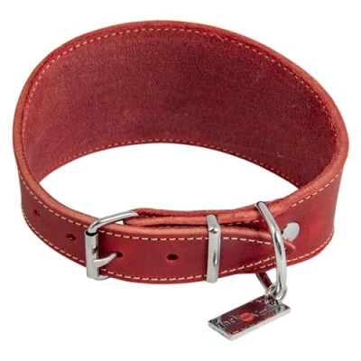 Image of JACK AND VANILLA, Greyhound Dog Collar, Greasy Leather, Red, Size 37 cm