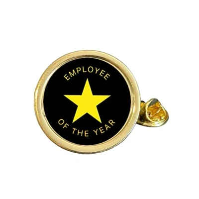 Image of Employee of the Year (BB) Award Gold Plated Domed Lapel Pin Badge in Bag