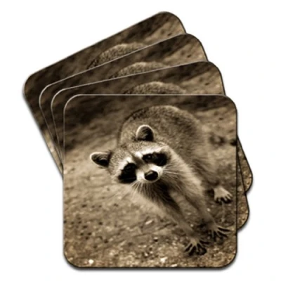 Image of Raccoon Racoon Set of 4 Coasters