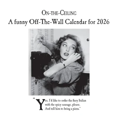 Image of On The Ceiling Calendar 2026