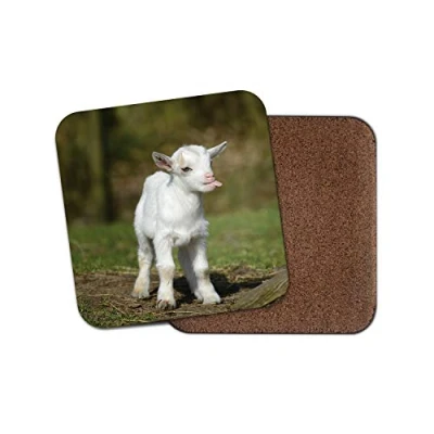 Image of 1 x White Baby Goat Coaster Cute Farm Kid Animal Mum Auntie Fun #8650