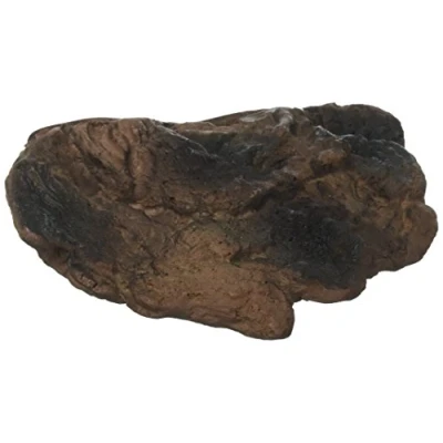 Image of Naturalistic Terrarium Mushroom Ledge