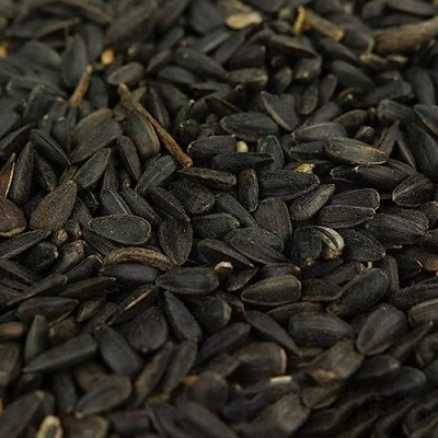 Image of BusyBeaks Black Oil Sunflower Seeds Premium Quality Garden Wild Bird Food Full of Protein, Rich in Mix Nutritious, High Energy Mixture Perfect Year Round Feeding for Birds (25kg)