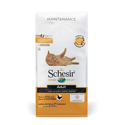 Image of Schesir Cat Adult Maintenance Chicken Dry Food Bag 10kg