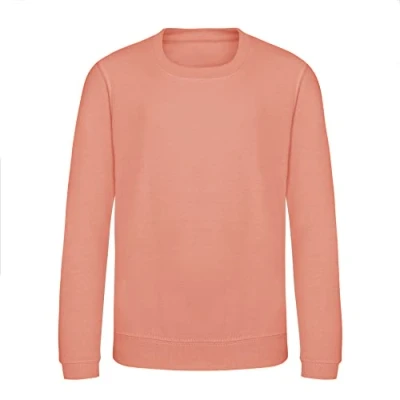 Image of AWDis Just Hoods JH30J Kids Sweatshirt Dusty Pink 12 13 Years