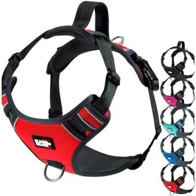 Image of Black Rhino The Comfort Dog Harness with Mesh Padded Vest for Small Large Breeds Adjustable Reflective 2 Leash Attachments on Chest &amp; Back Neoprene Training Handle (Small, Red/Bl)