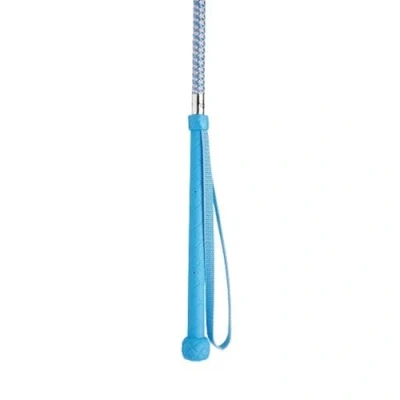 Image of HySCHOOL Metallic Riding Whip Pale Blue/Pale Pink 26&quot; Horse Whips &amp; Crops