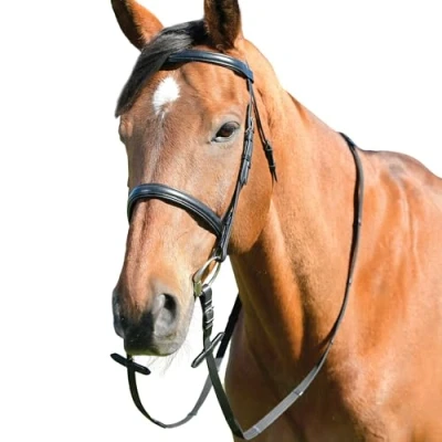 Image of Kincade Classic Plain Raised Cavesson Bridle with Reins, Black, Shetland