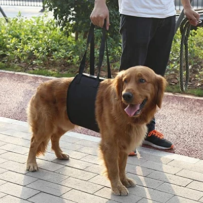 Image of Auxiliary Belt for Pets, Classic Lifting Harness Elderly or Dogs Sick Pets to Get Up and Down Stairs, in out of Vehicles (XL)