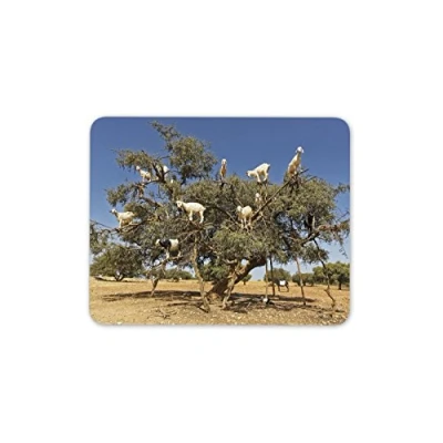 Image of Funny Tree Goats Mouse Mat Pad Goat Morocco Animal Africa Computer #8667