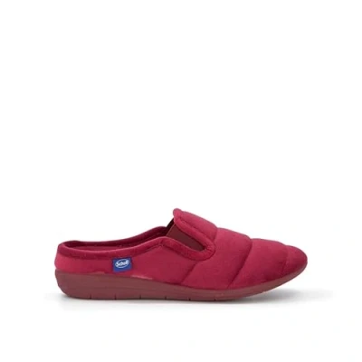 Image of Scholl Women Cloudy Ela Slipper, Bordaux, 5 UK