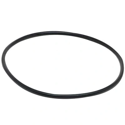 Image of Fluval Sealing Ring for Cover of 3.9 cm Rotor Filter 103