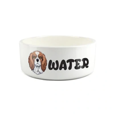 Image of Cavalier King Charles Spaniel Pet Bowl Cartoon Dog Portrait Large Ceramic Water Novelty White Dish For Dogs