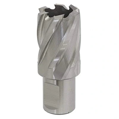 Image of Worksafe Rotabor Cutter HSS Ø25mm Cut Depth 25mm