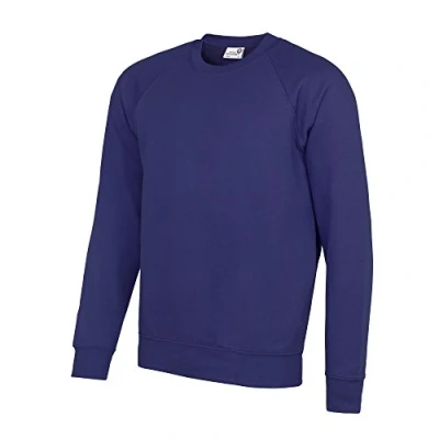 Image of AWDis Men&#039;s Academy Raglan Sweatshirt, Purple (Academy Purple), Large