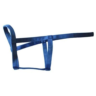 Image of Rhinegold Field Safe Headcollar Shetland Turquoise