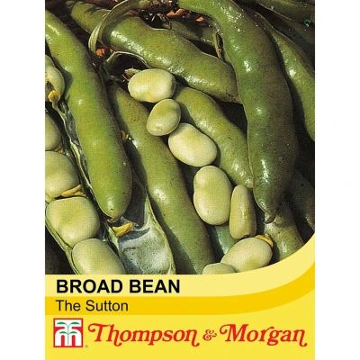 Image of Broad Bean Seeds &#039;The Sutton&#039; Vicia faba Fava Beans Hardy Annual Vegetable Garden Plants Easy to Grow Sow Your Own 1 Packet of 30 by Thompson and Morgan