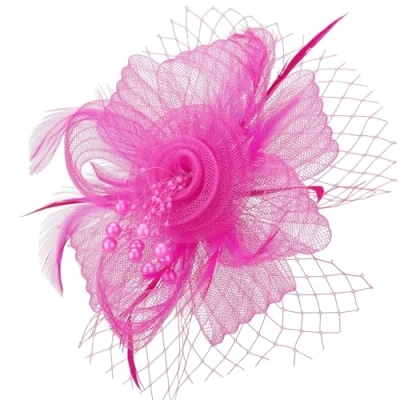 Image of DRESHOW Fascinators Hat Flower Mesh Ribbons Feathers with Forked Clip Cocktail Tea Party Headwear for Girls and Women