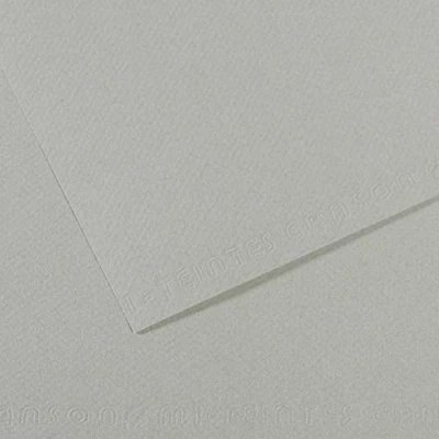 Image of Canson Mi Teintes 10 Sheets of Tinted Paper 160 g/m² Sky Grey 354 29.7 x 60 cm