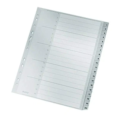 Image of Esselte Leitz 12840000 Plastic Index 120 A4 Polypropylene 20 Sheets Grey