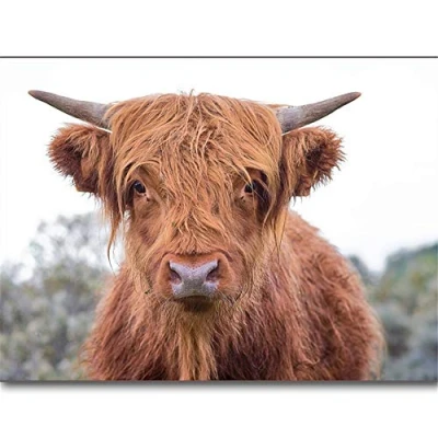 Image of TNXEV DIY 5D Diamond Painting Kits for Adults/Kids Highland Cow Full Drill Embroidery Crystal Rhinestone Handmade Canvas Paintings Pictures Arts Craft Home Wall Decor 30x40cm