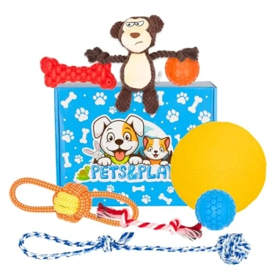 Image of Dog Toys Bundle Strong Durable Toy Set for Puppies, Small &amp; Medium Dogs Helps Teething Boredom Enrichment Includes Tough Squeaky Balls, Frisbee, Rope Plush Gifts Puppy Chew UK