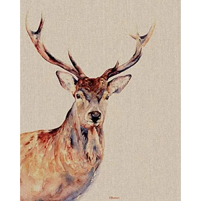 Image of Jane Bannon Montgomery Canvas, Multicolour, 40 x 50cm