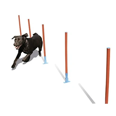 Image of AGILITY SLALOM W/BAG