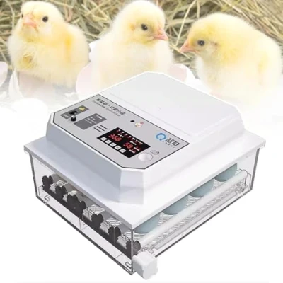 Image of 12 Egg Incubator with Humidity Temperature Display, Candler, Automatic Turner, for Hatching Chickens
