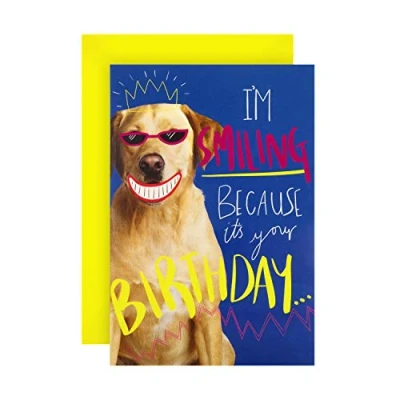 Image of Hallmark Birthday Card Funny Photographic Smiling Dog Design