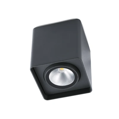 Image of Tami LED Outdoor Surface Mounted Ceiling Light Dark Grey IP54