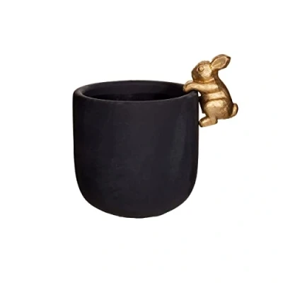 Image of Sass &amp; Belle Golden Rabbit Planter