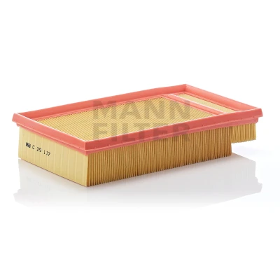 Image of 16546AW300 Air Filter MANN C 29 117 57mm 169mm 282mm Insert NISSAN: Primera Hatchback, Estate, Saloon