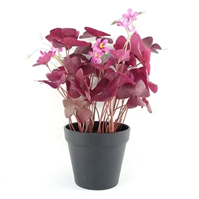 Image of Leaf Design UK Realistic Artificial Foliage Plant with Pot, 30cm Purple Shamrock