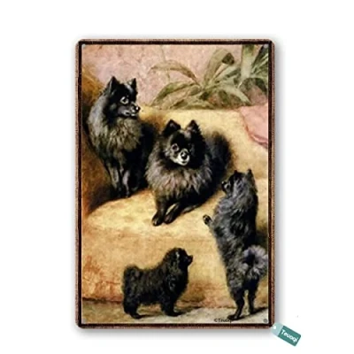 Image of Vintage Black Pomeranian Decor Decoration Pub Plaque 8x6 Inch Tin Sign Home Art Metal Signs Wall Poster