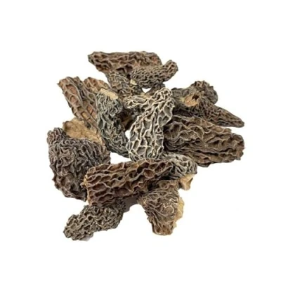 Image of Giant Morel Mushrooms, Dried, Extra Grade (6 8cm), 50g