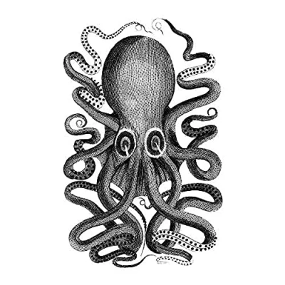 Image of Wee Blue Coo Octopus Vintage Illustration Unframed Art Print Poster Wall Decor 12x16 inch
