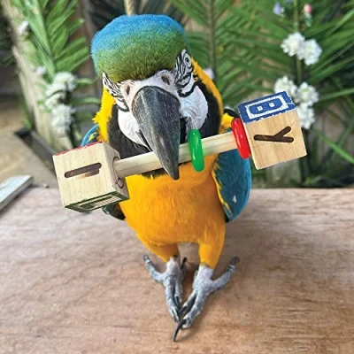 Image of Northern Parrots ABC Parrot Rattle Foot Toy Large