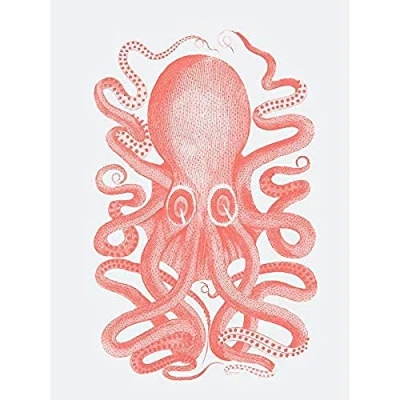 Image of Wee Blue Coo Living Coral Octopus Unframed Art Print Poster Wall Decor 12x16 inch