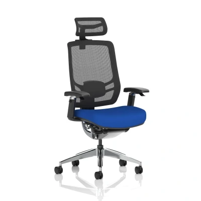 Image of Ergo Click Fabric Seat Stevia Blue Black Mesh Back with Headrest
